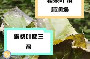 花叶生白霜，如何处理？（有效方法应对植物白霜问题）
