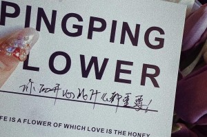 玫瑰花失去太阳（无辉煌的色彩，无浪漫的芬芳，无生命的跃动）