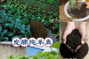 羊粪肥的合理利用与给花施肥方法（羊粪肥的优点及使用技巧，为您的花草带来生机焕发）