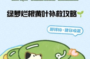如何解决水培绿萝根一直烂的问题（解决绿萝根烂的有效方法和注意事项）