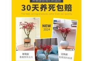 红枫喜水吗？揭秘它的生长环境（红枫的水分需求，植物和水的微妙关系）