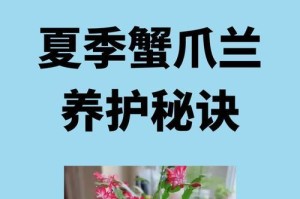 如何正确给蟹爪兰换花土（掌握换花土的步骤，让蟹爪兰健康成长）