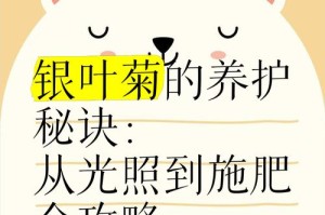 菊花的养殖方法和养护要点（掌握这些技巧，让你的菊花开得更美）