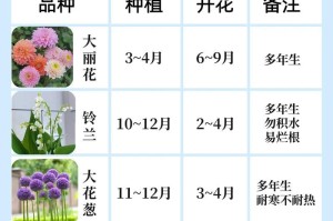《时钟花的养护指南》（打造美丽庭院的秘密武器）