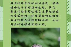 揭秘含羞草的奇妙颜色之谜（以含羞草那些颜色是怎么来的）