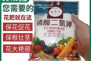 果树苗肥料如何选择？（探究不同肥料对果树苗的影响）