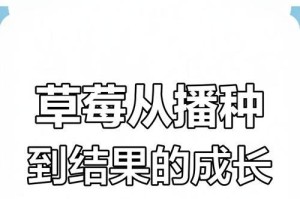 草莓生长的全过程（从种子到成熟的诱人红果）