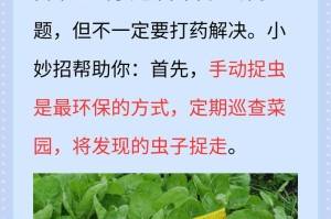 花草生虫的处理方法（如何有效预防和应对花草生虫问题）