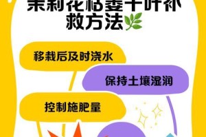 康乃馨叶子干枯了怎么办？（教你恢复康乃馨叶子的绿意盎然）