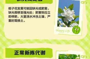 栀子花叶黄的原因和处理方法（了解栀子花叶黄的危害及如何有效防治）