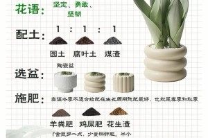 探讨以弄断的虎尾兰的种植方法及注意事项（打造健康繁茂的虎尾兰，从弄断开始）