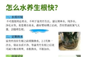 如何补救竹子叶子生虫问题（有效解决竹子叶子生虫的方法和技巧）