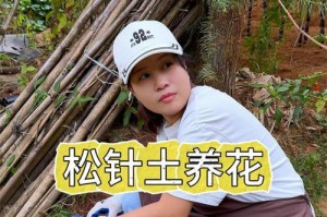 松土的重要性与技巧（以花为主的松土方法及注意事项）