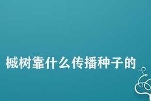 苹果传播种子的方式剖析（解密苹果繁殖之道，探讨其神奇的传播方式）