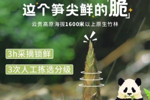 毛笋剥皮方法与技巧（掌握毛笋剥皮技巧，享受美食的乐趣）