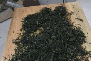 废茶叶也可成为宝贵的肥料（如何将废弃的茶叶变废为宝）