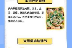 肉肉植物栽种方法与注意事项（养护技巧详解，让你的肉肉植物健康成长）