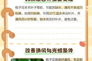 冬日凝香，栀子花怎么养？（重视保温，冷雪中的芬芳）