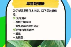 花叶子小蔫了怎么办？（教你轻松恢复植物的生机）