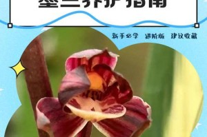 墨兰叶子枯萎的原因及应对方法（揭开墨兰叶子枯萎的谜团，让你的墨兰恢复生机）