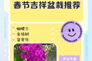 盆栽吉祥冠的养护技巧（打造健康繁茂的吉祥冠）
