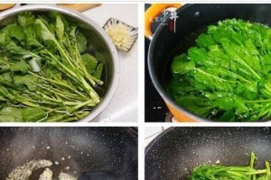 菠菜的性质大揭秘（热性还是凉性？你可能一直都弄错了！）