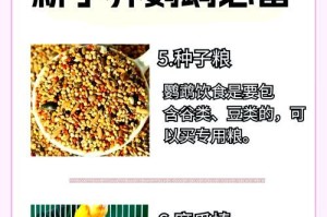 如何正确地进行桑叶牡丹扦插繁殖？（注意事项和方法详解，快速掌握桑叶牡丹繁殖技巧。）
