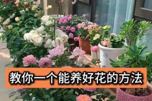 如何养护已过花期的花卉（延长花卉寿命的养护技巧）