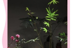 以竹子怎么种土里（种植竹子的步骤与技巧）