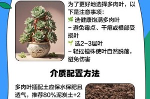 多肉叶片扦插的正确浇水方法（掌握关键技巧，让多肉叶片生根更容易）