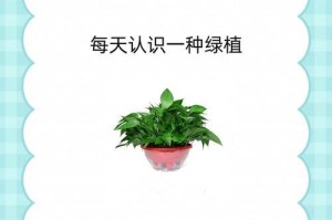 绿箩叶不长只长根，如何解决？（绿箩栽培技巧与调养方法分享）