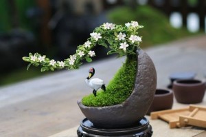 花草盆景的造型艺术（以大自然为灵感，创意无限绽放）