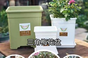 如何正确分苗以促进花盆生长（简单易行的分苗技巧，让您的花盆焕发生机）