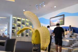 探秘香蕉的产地（从热带雨林到全球餐桌，探寻香蕉的神秘之旅）