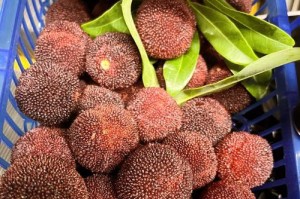 绿豆没熟透可以吃吗？（探讨绿豆未熟透时的食用方法）