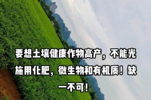 生姜的生长过程（从种植到收割，全方位了解生姜）