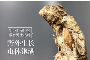 金蝉花的营养价值与食用方法（金蝉花的功效与禁忌，如何正确食用？）