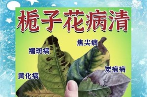 冬天栀子花叶黄还落叶如何处理（冬季栀子花叶黄落叶处理方法及预防措施）