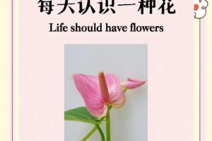 以粉掌怎么施肥，打造茂盛健康的植株（粉掌施肥方法、注意事项和效果解析）