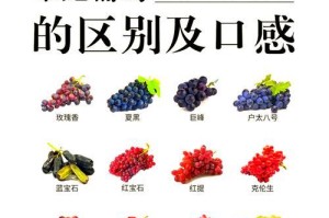 葡萄的生长周期（从幼苗到成熟果实，葡萄的成长之路）