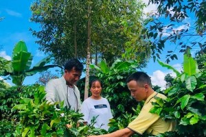 在家种植咖啡，品味自家独特咖啡香（享受种植、烘焙和品尝的乐趣）