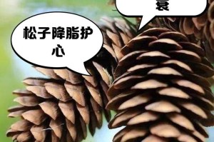 松果凤梨花期及开花次数的研究（一年开几次花？松果凤梨的生长规律揭秘）