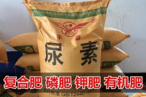自制植物肥料，助力健康生长（简单易行的DIY肥料制作方法，让你的植物茁壮成长）