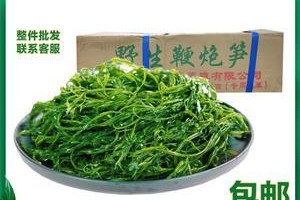 鞭炮笋的营养与美味（探秘鞭炮笋——一道独特的传统菜肴）