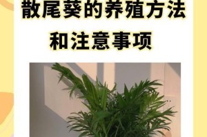 散尾竹的虫害防治（了解散尾竹的虫害类型及预防方法）