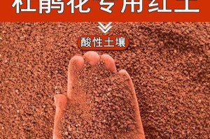 沙质土壤适合养什么花？（探究沙质土壤下的花海世界）