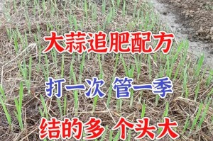 大蒜病虫害防治实用技术（病虫害防治方法与措施）