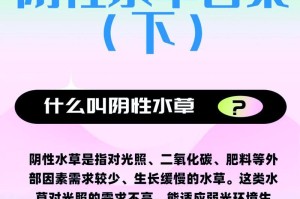 椒榕的养护方法和技巧（打造一盆健康的椒榕）