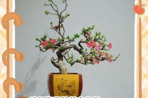 如何科学浇水让贴梗海棠花期更长（贴梗海棠的浇水要点和技巧）