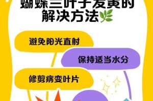 蝴蝶兰杆为何变黄？（黄化原因和处理方法）